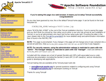 Tablet Screenshot of ignicheck.asimantova.it